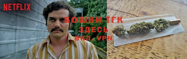не бодяженный Гусев