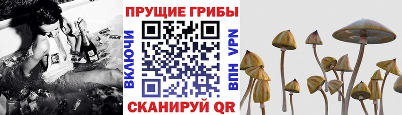 Псилоцибиновые грибы Magic Shrooms  где купить наркотик  Ильский 